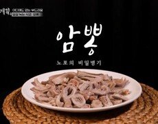 잡내 하나 없는 역대급 암뽕! 대구식 칼국수부터 콩국수까지 거를 타선 없는 맛집 MBN 260828 방송 