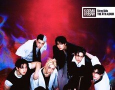 스트레이 키즈, 2025 美 앨범·CD 판매량 톱10