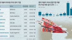 中서 통할 한류업종 찾아… 두달새 2조원 전략적 투자