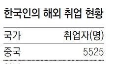 [청년드림]정부지원 해외취업 최다지역은 중국