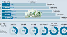 ‘구조조정 복병’ 떠오른 사내유보금