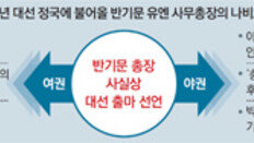 [반기문 방한일정 마무리]與 불임 탈출? 野 선수 교체?