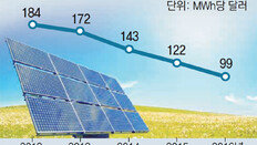 태양광 발전비용 4년새 절반 뚝… 석탄 대체 ‘성큼’