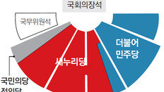 새누리 ‘공동 1당’으로 중앙의석 지켜