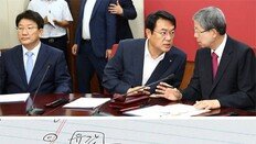 최경환 나설까… 복당 갈등 봉합하자마자 당권 수싸움
