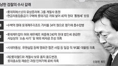 롯데, 계열사 동원해 무리한 증자… 당시 일부社 “배임 소지” 우려