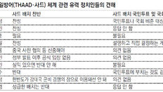 안철수의 헛발질?… ‘사드 국민투표 주장’ 야권도 갸우뚱