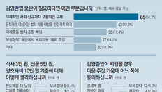 “사회상규 과잉 규제” 34%… 정치인 규제 부활엔 소극적