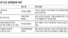 장밋빛 경제대책, 실효성은 “글쎄요”