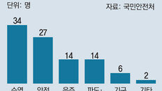 물놀이 사망, 수영미숙-안전소홀 절반 넘어