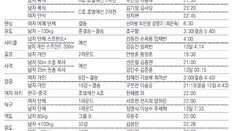 [오늘의 한국 경기/8월12일]배드민턴 外