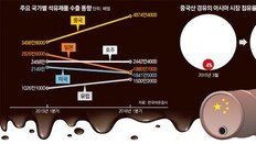 중국산 휘발유-경유가 몰려온다