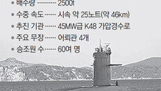 ‘SLBM 잡을 핵심전력’ 다시 떠오른 핵잠수함 보유론