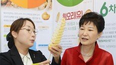 회오리감자 본 朴대통령 “외국인이 꼭 찾는 관광콘텐츠 되길”