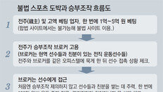 “뒤로 숨은 錢主… 수억 베팅 도박사-선수포섭 브로커 거느려”