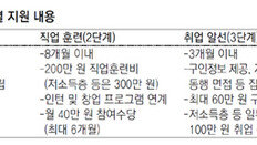 [청년드림]“230번 눈물 날려준 ‘취업성공 패키지’는 은인”