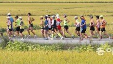 세계 유산 즐기며 황금들녘 질주… 준비 됐나요