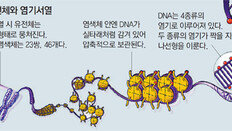 네이처 “가장 완벽한 유전체 정보”