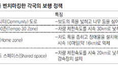 “도로서 놀아도 된다”… 정원 품은 지그재그 차도서 공놀이