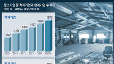 구조조정 미뤄져 중소기업 직격탄… 정부지원 의존해 ‘연명’