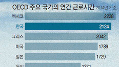 눈높이만 쑥… 현실은 아직… 한국 OECD 가입 20년, 명과 암