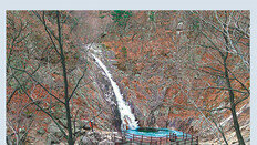 등산길 4분의1 철계단-나무덱 등 깔려