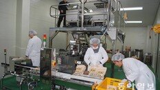 [영남 파워기업]쌀부터 화장품까지… 국화 이용한 제품으로 인기몰이