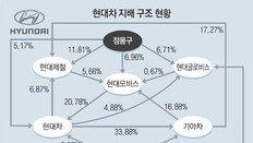 “자사주 의결권 막히기 전에… ” 기업들 지주사 전환 가속