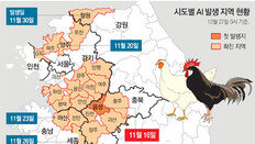 국내 닭 14% 오리 25% 사라져… 도살 5000만 마리로 늘수도