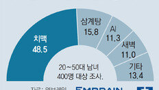 “눈 오는 날엔 치맥” 국민 간식 대명사