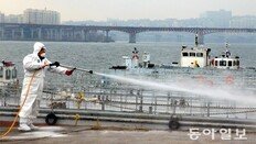 서울도 AI 비상… 반려동물 한강변 산책 삼가야