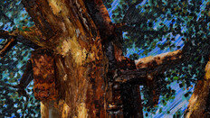 “힘겨운 민초의 삶, 뜨거운 생명력으로 표현”