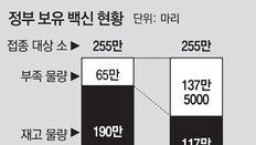 [단독]A형백신 물량 부족에 조기 수입 차질… 최소 한달 무방비