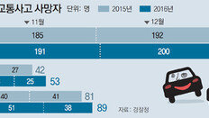 고속도로 사망자는 오히려 늘었다