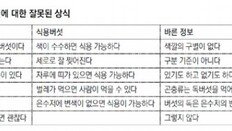 식용버섯과 독버섯 이렇게 구별하세요