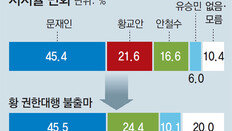 ‘보수 스트롱맨’ 홍준표 부상 가능성… 안철수 등 ‘文 대항마’로 결집할수도