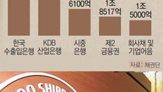 ‘대우조선 살리기’ 시중은행도 참여 가능성