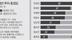 대선주자 호감도 안희정 56% 〉문재인 47%