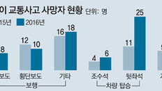 동승자 규정 없어 아무나 타도 돼… ‘세림이법’ 구멍 숭숭