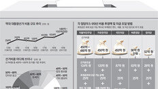 펀드-대출로 선거비 충당… 15% 득표 못하면 빚더미 앉을수도