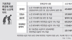 “年 40兆만 들면 다행… 공약 다 이행하려면 재정 거덜날 판”