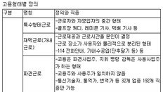 15년전 만든 정규-비정규직 구분… 노동시장 변화 제대로 반영 못해