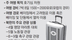 “北, 관광객 유치 적극적… 기자-한국인만 아니면 비자 내줘”