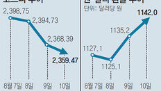 WSJ “한국선 주식 저가매수 기회로 생각”