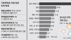 하늘만 쳐다보다 망친 지역축제