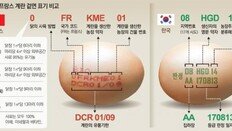 생산장소만 표시된 한국 계란… 사육법-닭장까지 알려주는 EU