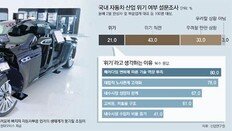 中진출 현대車 협력사들 실적 반토막… 中네트워크 붕괴위기