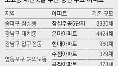 “우리도 초고층으로” 여의도-강남 들썩