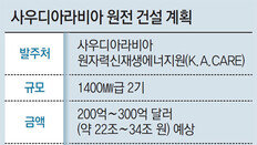 사우디, 원전 17기 건설 시동 거는데… 입찰 시늉만 내는 한국