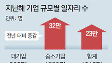 한해 9만개 사라진 대기업 일자리